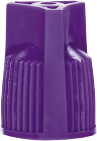 Purple Plastic Cap